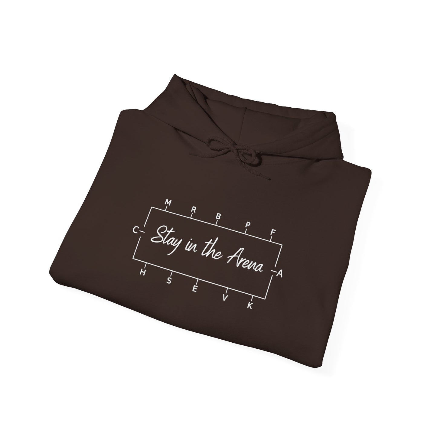 Stay in the Arena  Hoodie — Sweatshirt