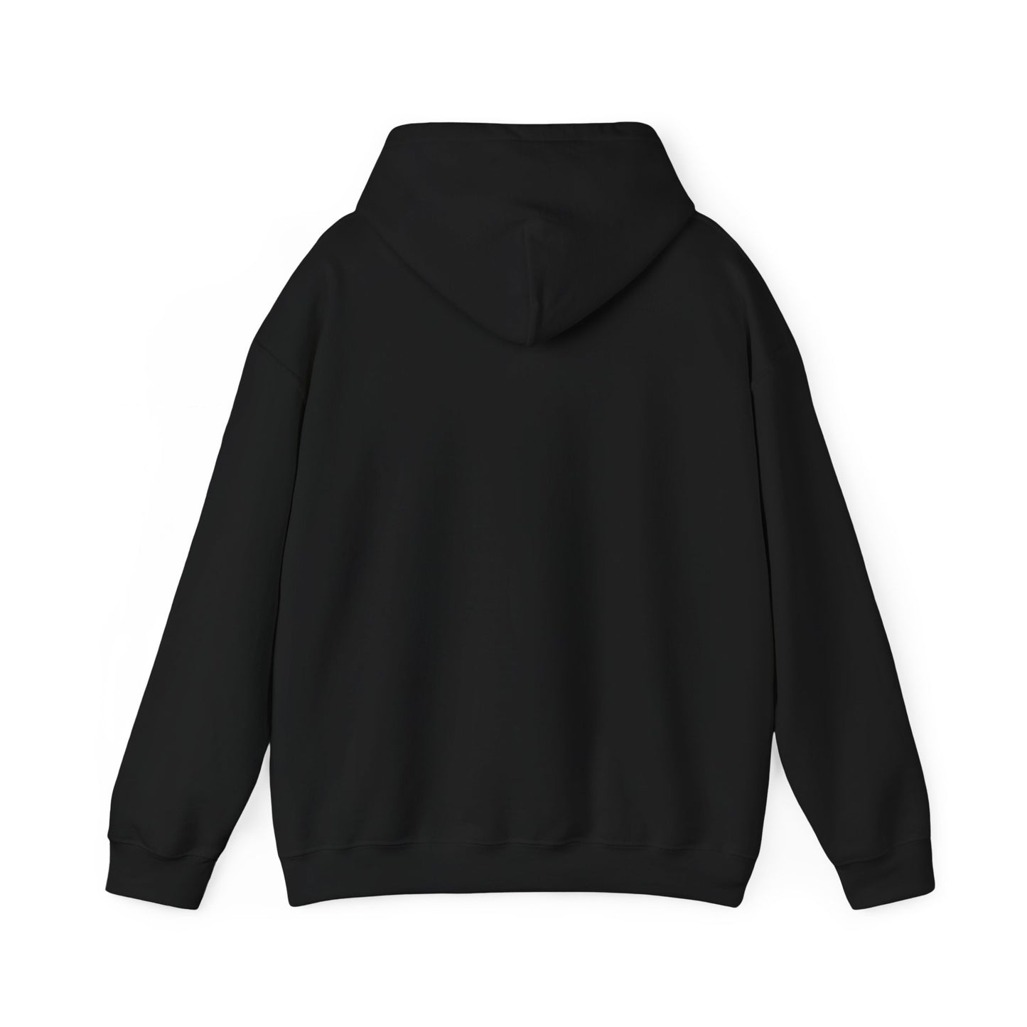 Stay in the Arena  Hoodie — Sweatshirt