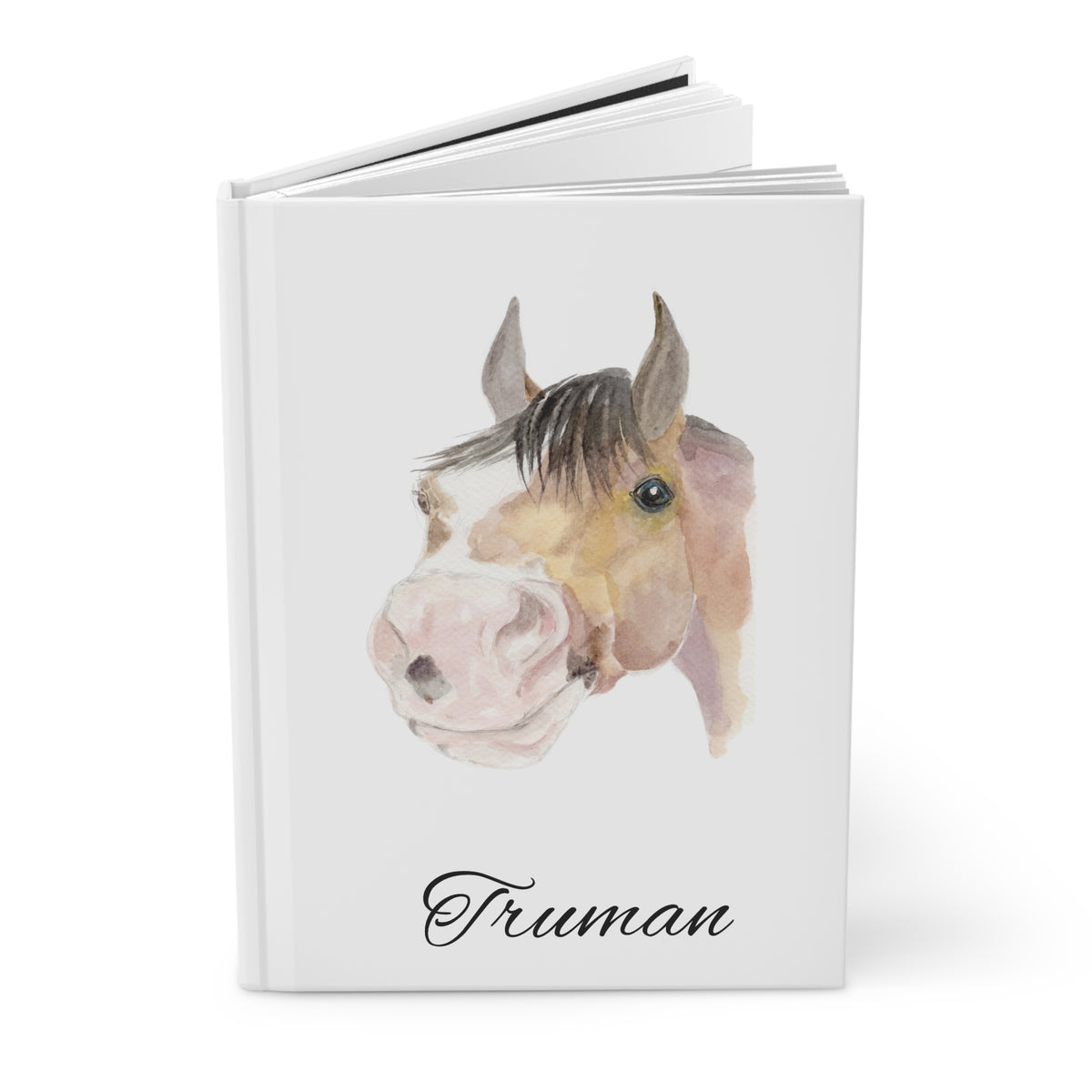 Journal Matte - Truman