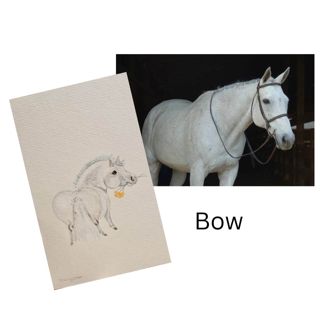 Custom Adorable Chubby Pony Portrait