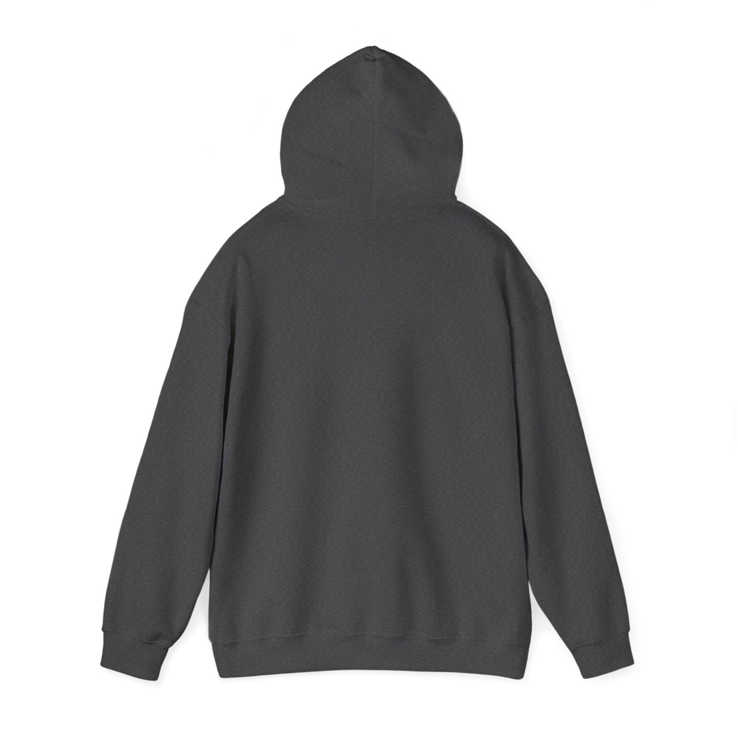 Stay in the Arena  Hoodie — Sweatshirt