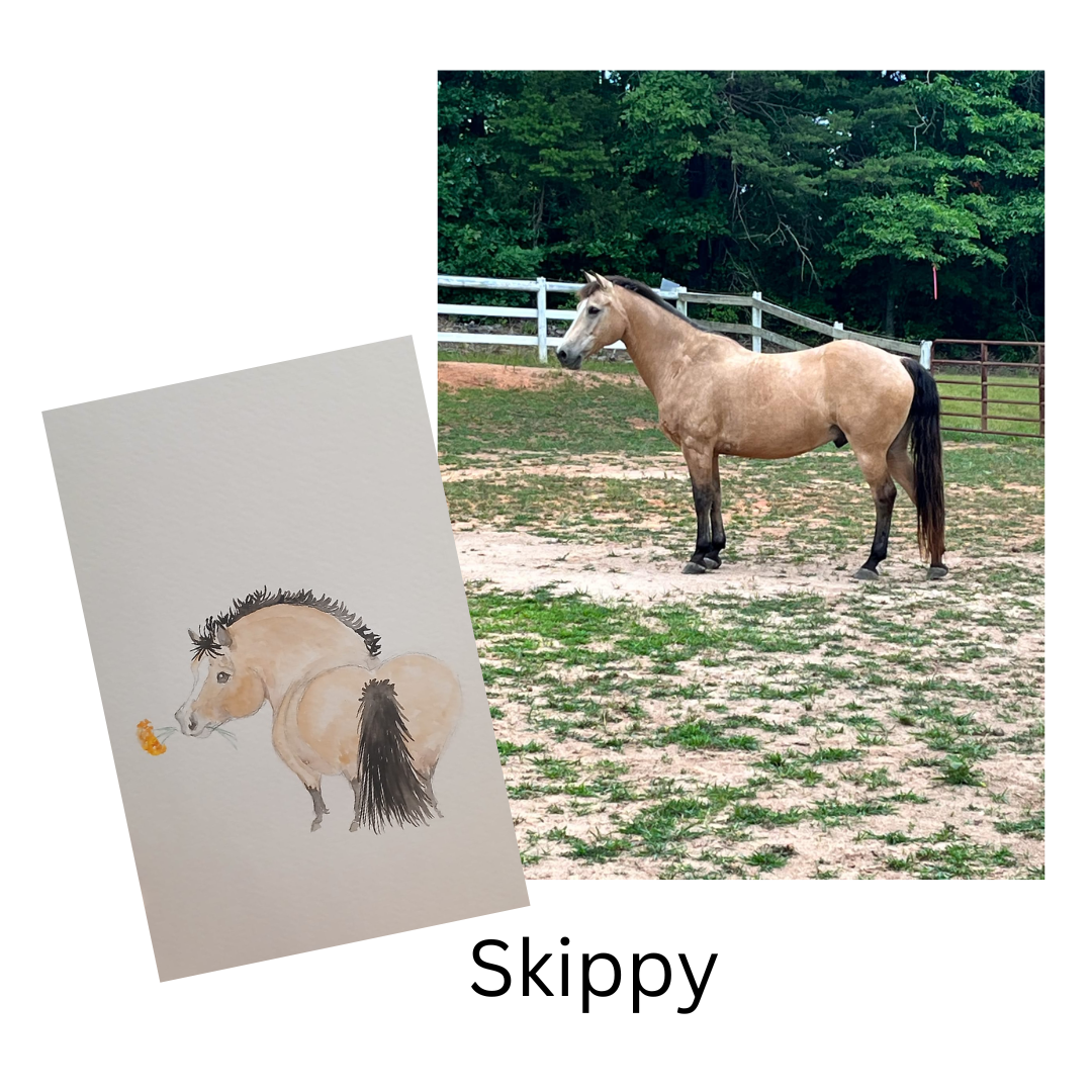 Custom Adorable Chubby Pony Portrait