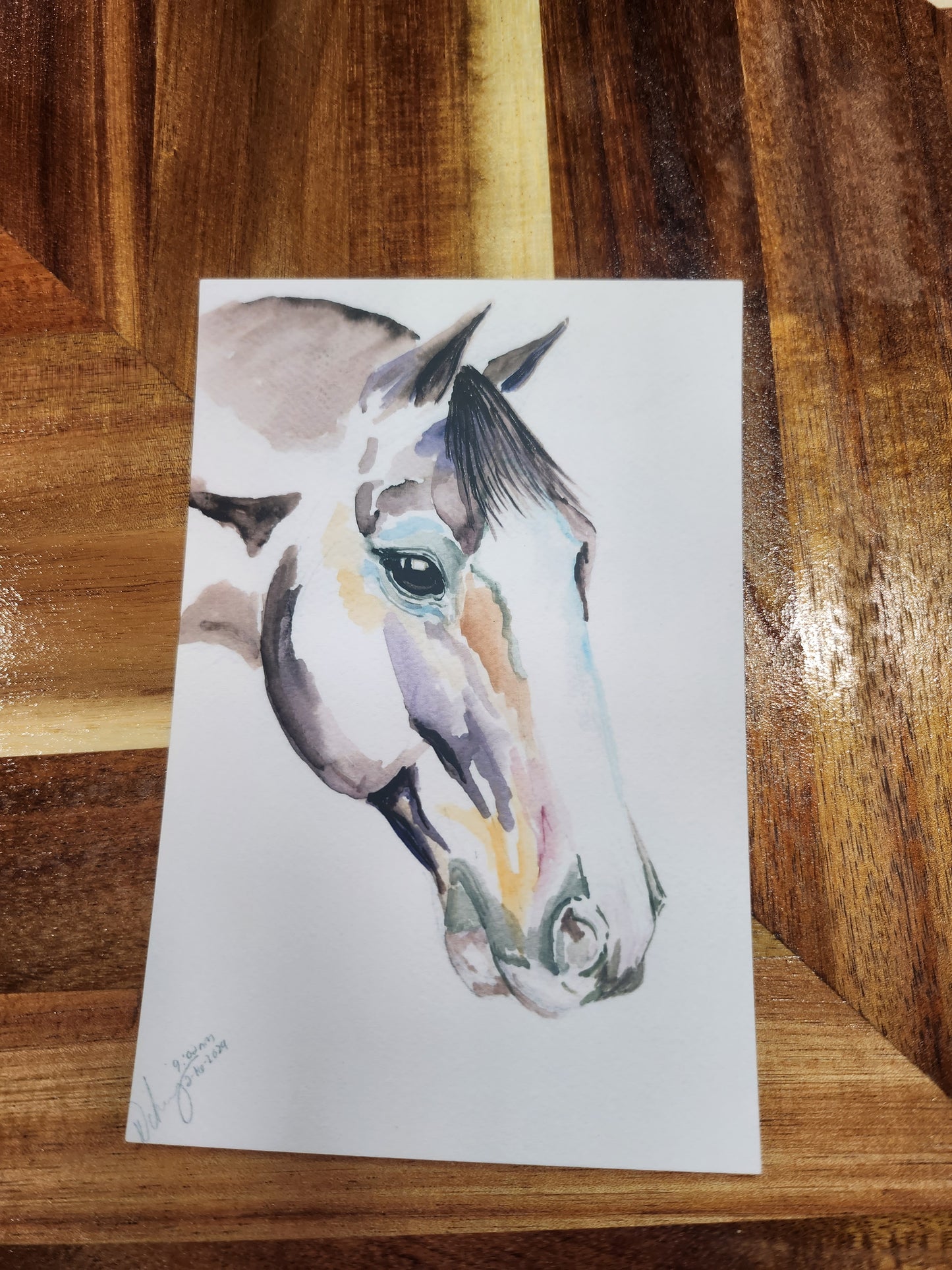 #29 Velvet Post Card (4x6) - SonaEquestrian