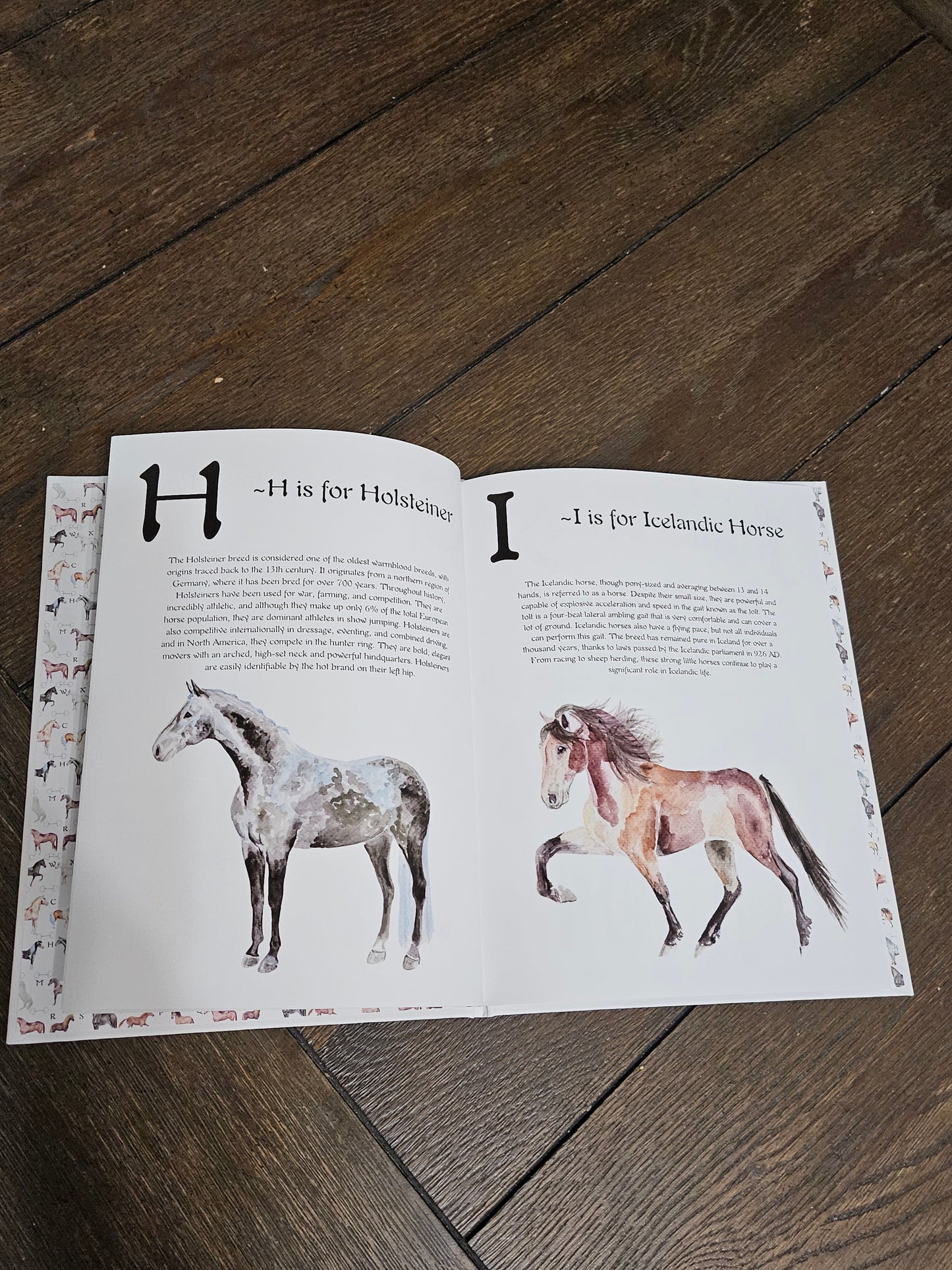 ABC Horse Breeds Book