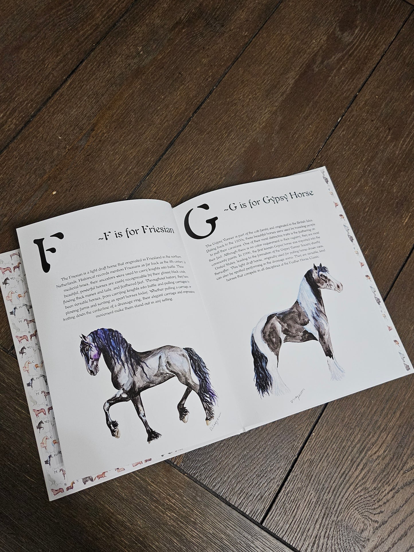 ABC Horse Breeds Book