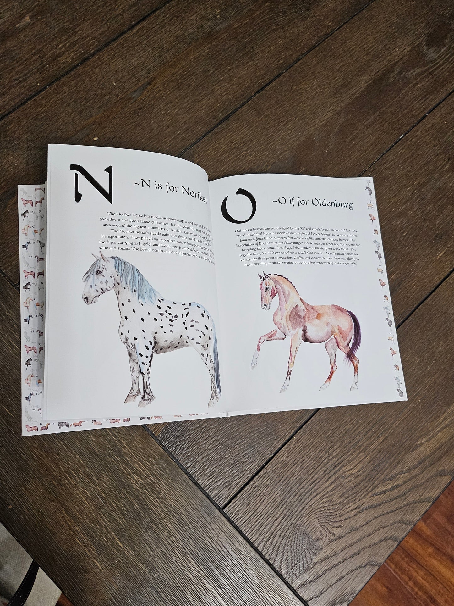 ABC Horse Breeds Book