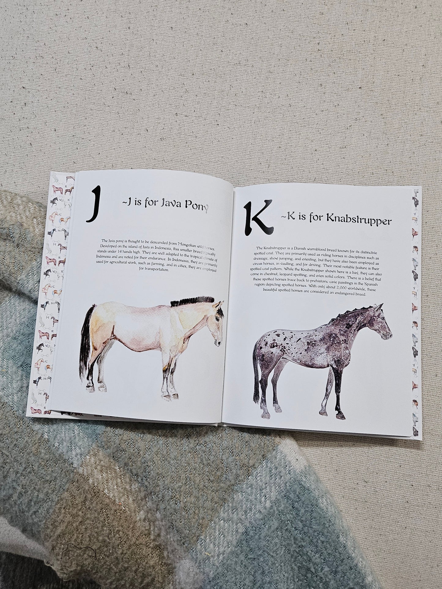 ABC Horse Breeds Book