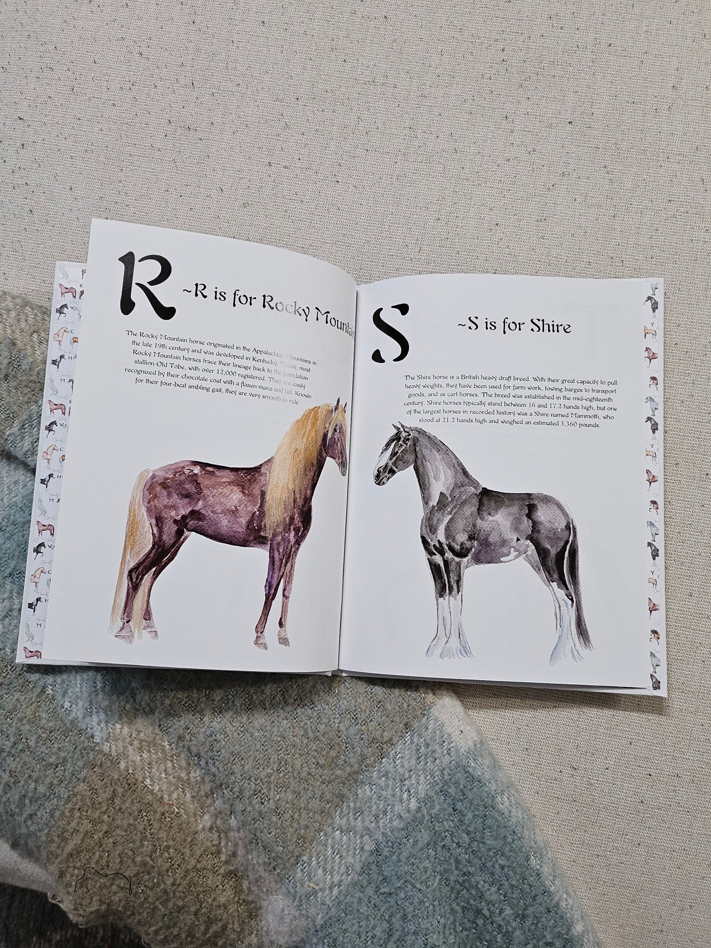 ABC Horse Breeds Book