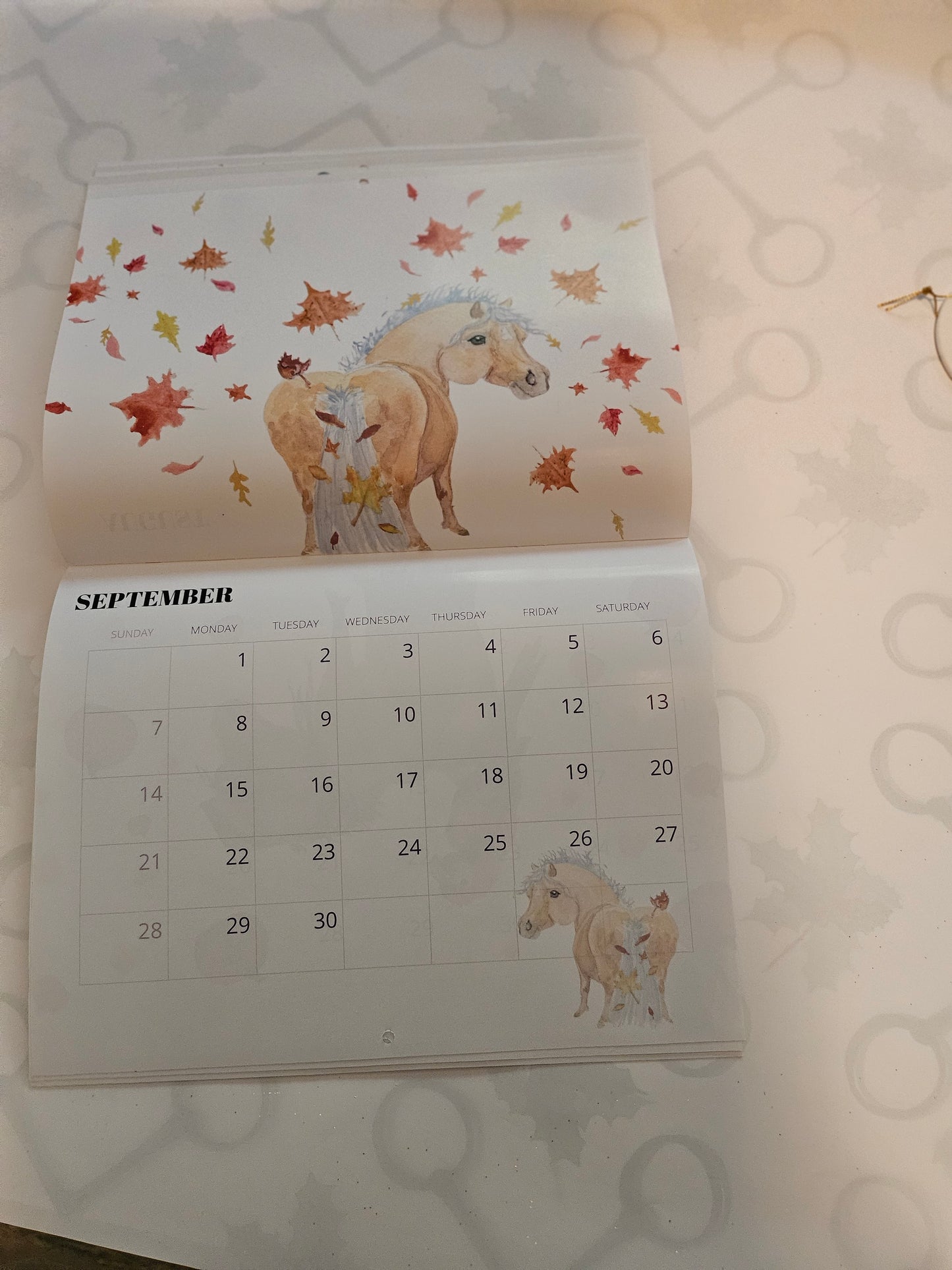 Adorable Ponies 2025 Calendar