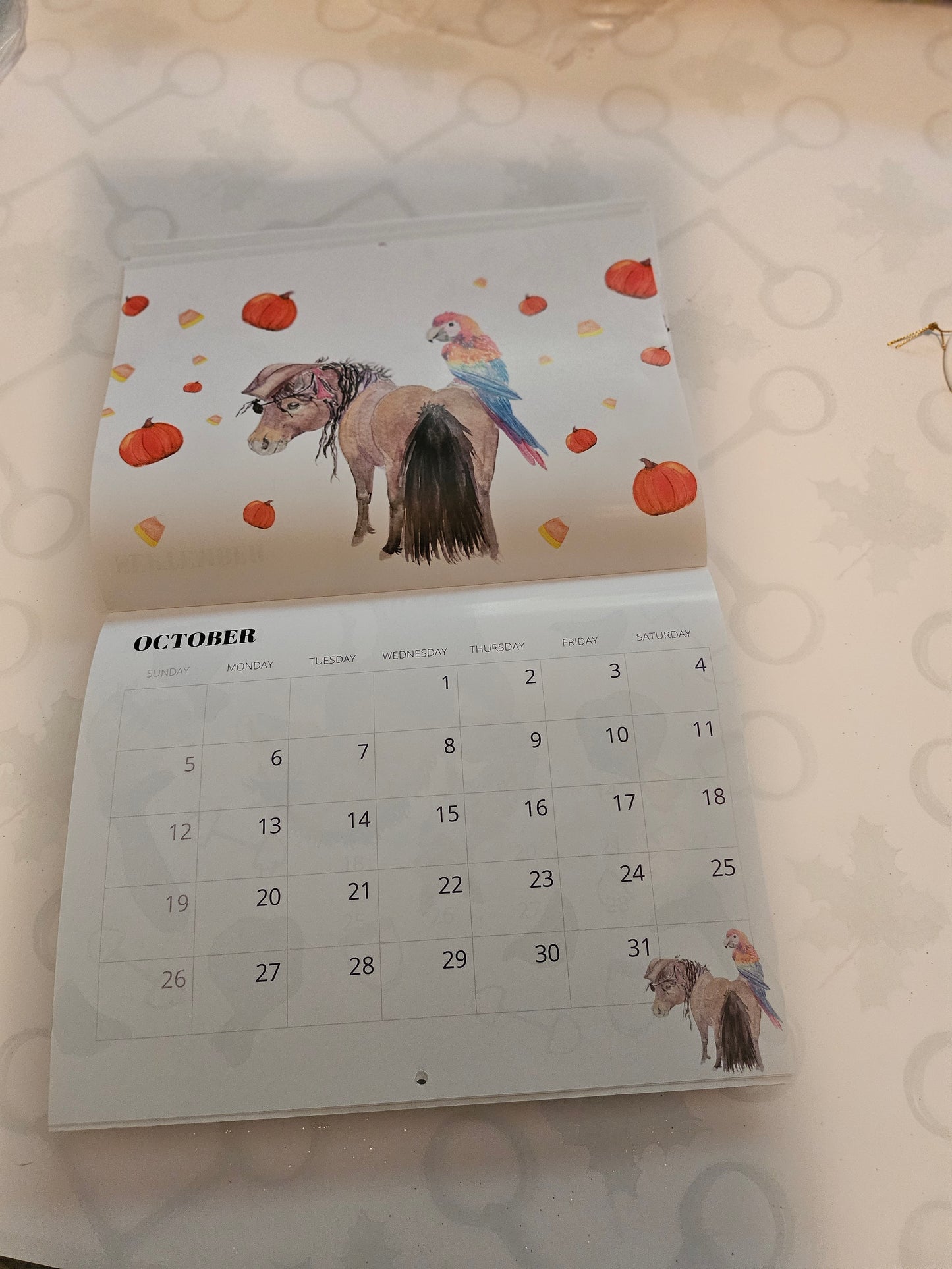 Adorable Ponies 2025 Calendar