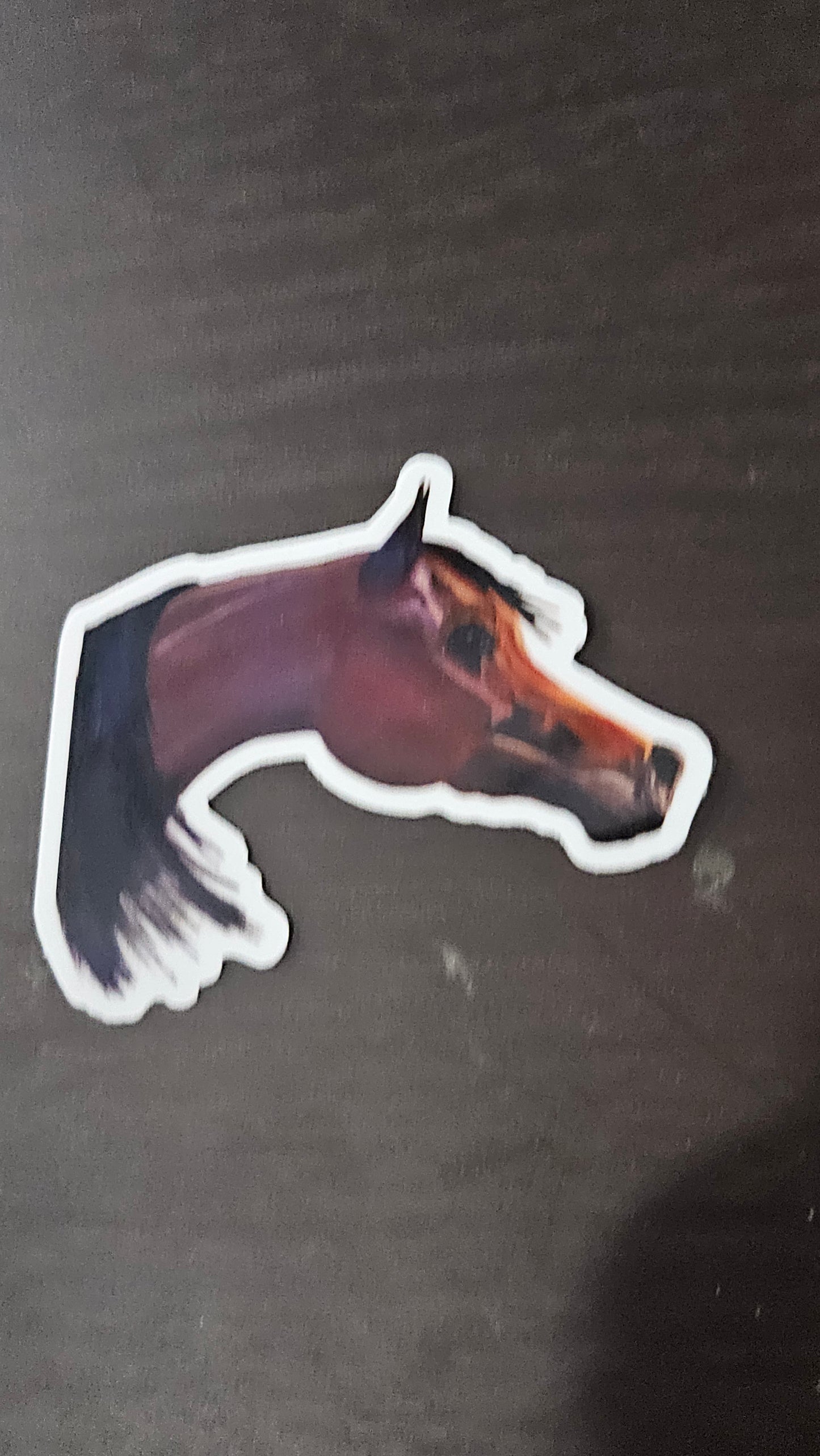 Arabian horse Stickers