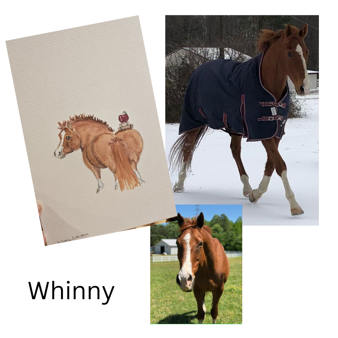 Custom Adorable Chubby Pony Portrait