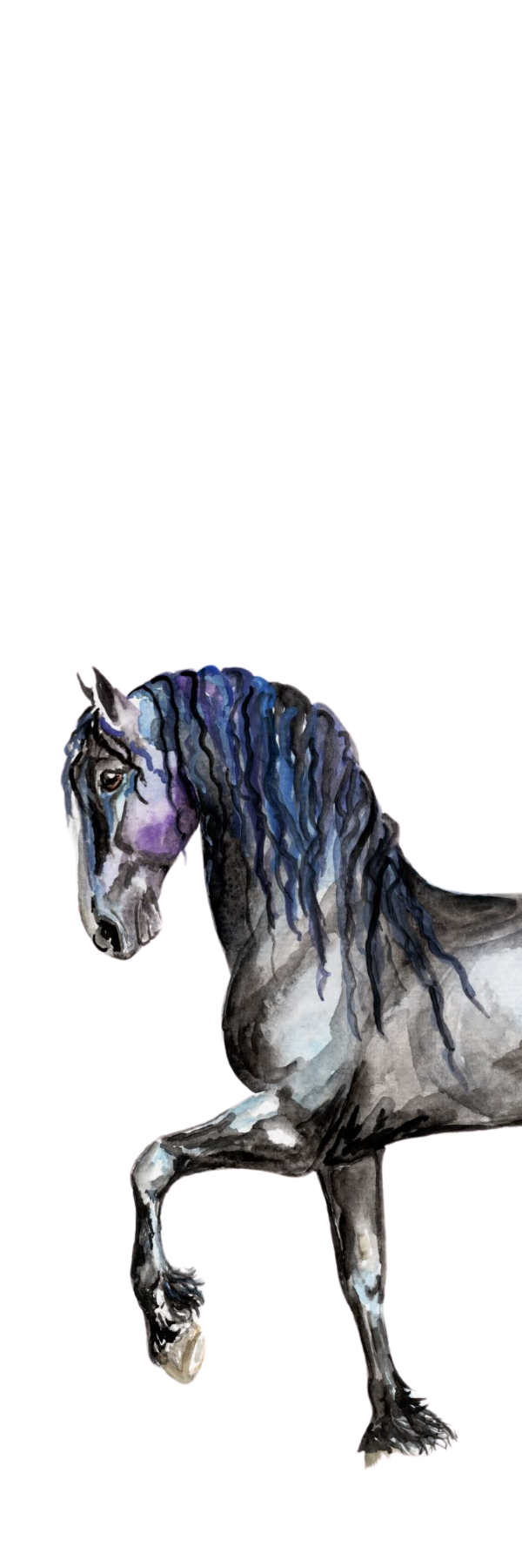 Friesian Bookmark