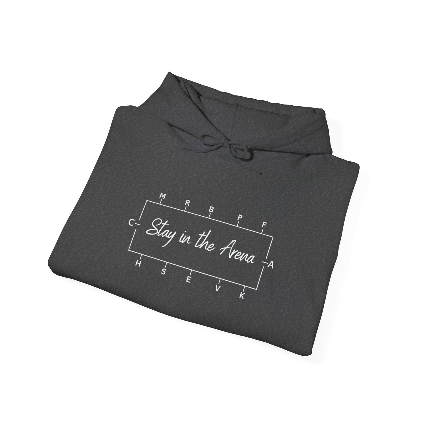 Stay in the Arena  Hoodie — Sweatshirt
