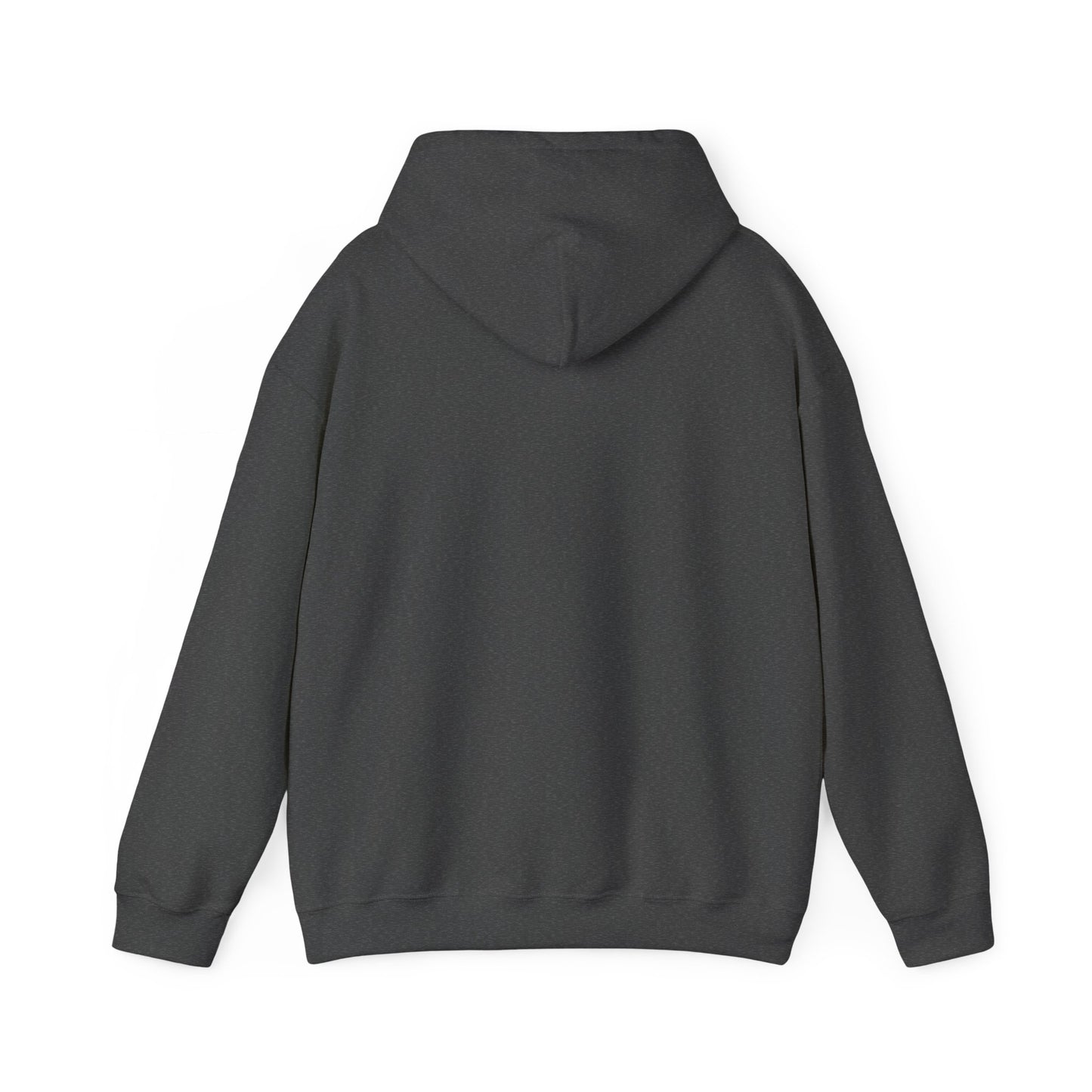 Stay in the Arena  Hoodie — Sweatshirt