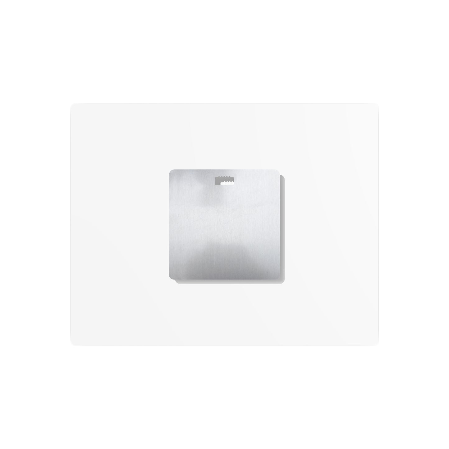 Adorable Penny Horse Metal Art Sign – "Penny" Watercolor