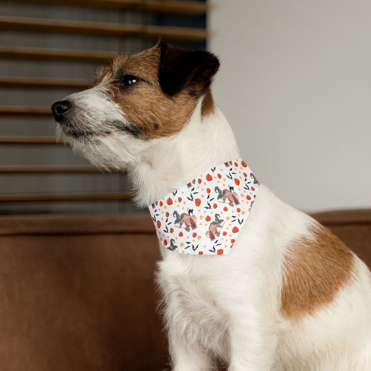 Adorable Witchy Pony print Pet Bandana Collar