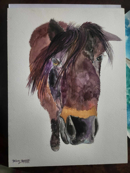 Commission- Bouncer - SonaEquestrian