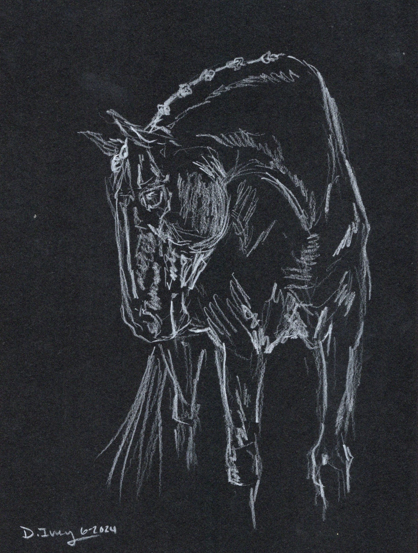 White charcoal graphite pencil - 5 - SonaEquestrian