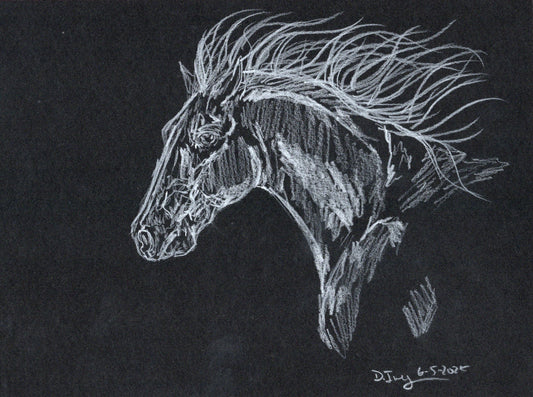 White charcoal graphite pencil - 4 - SonaEquestrian