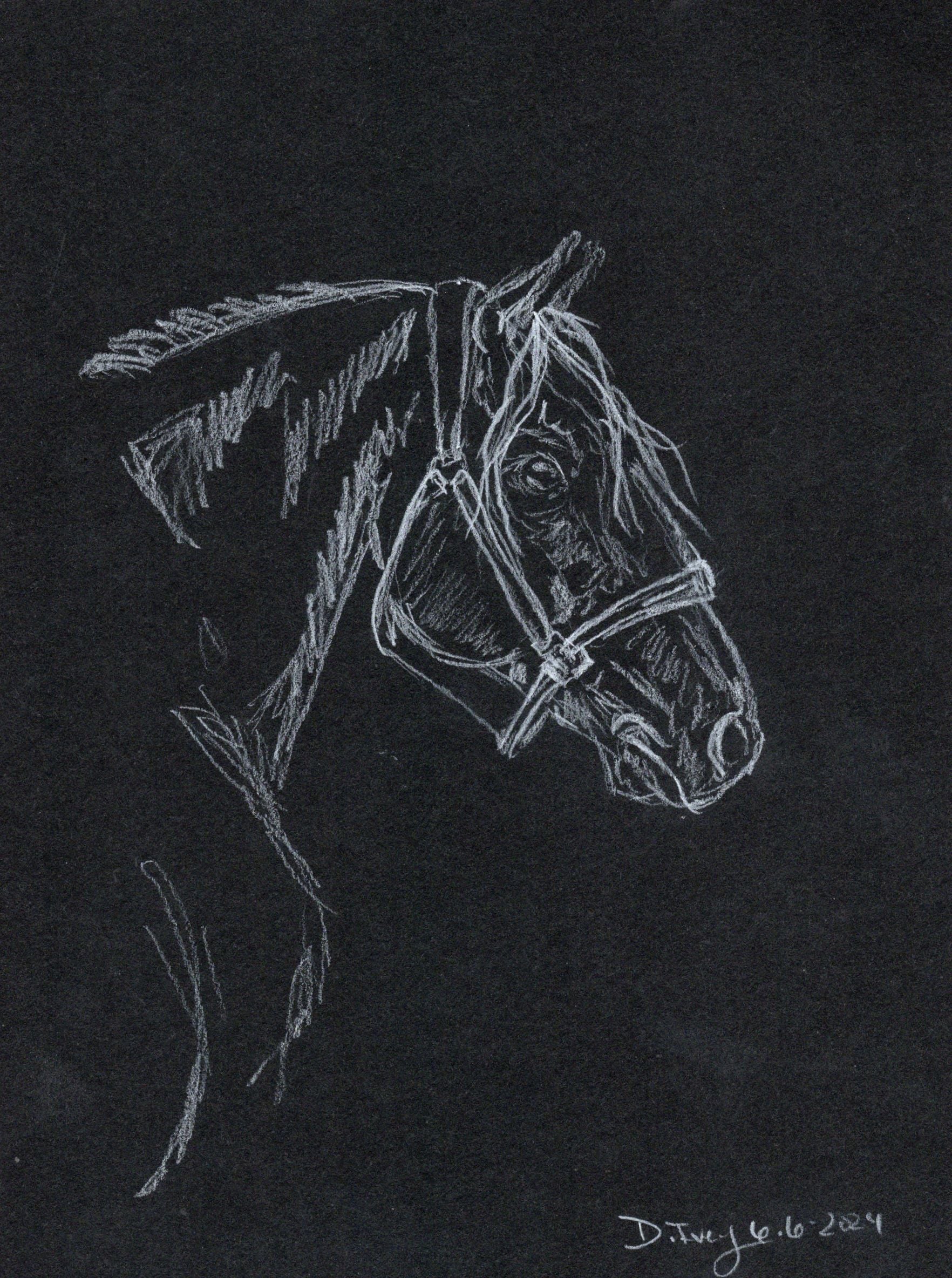 White charcoal graphite pencil - 6 - SonaEquestrian