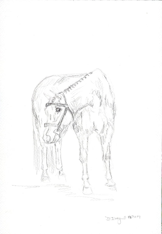 Pony Pony- Original Graphite pencil