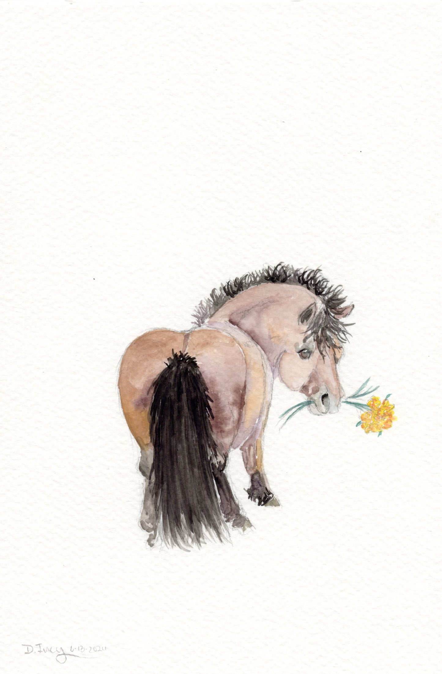 Adorable Little Apology Flowers - Giclee Fine Art Prints