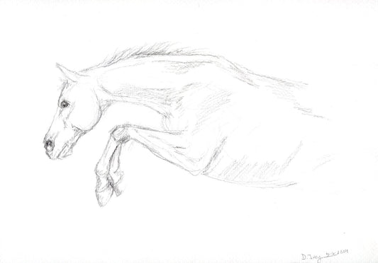 Leap- Original Graphite Pencil