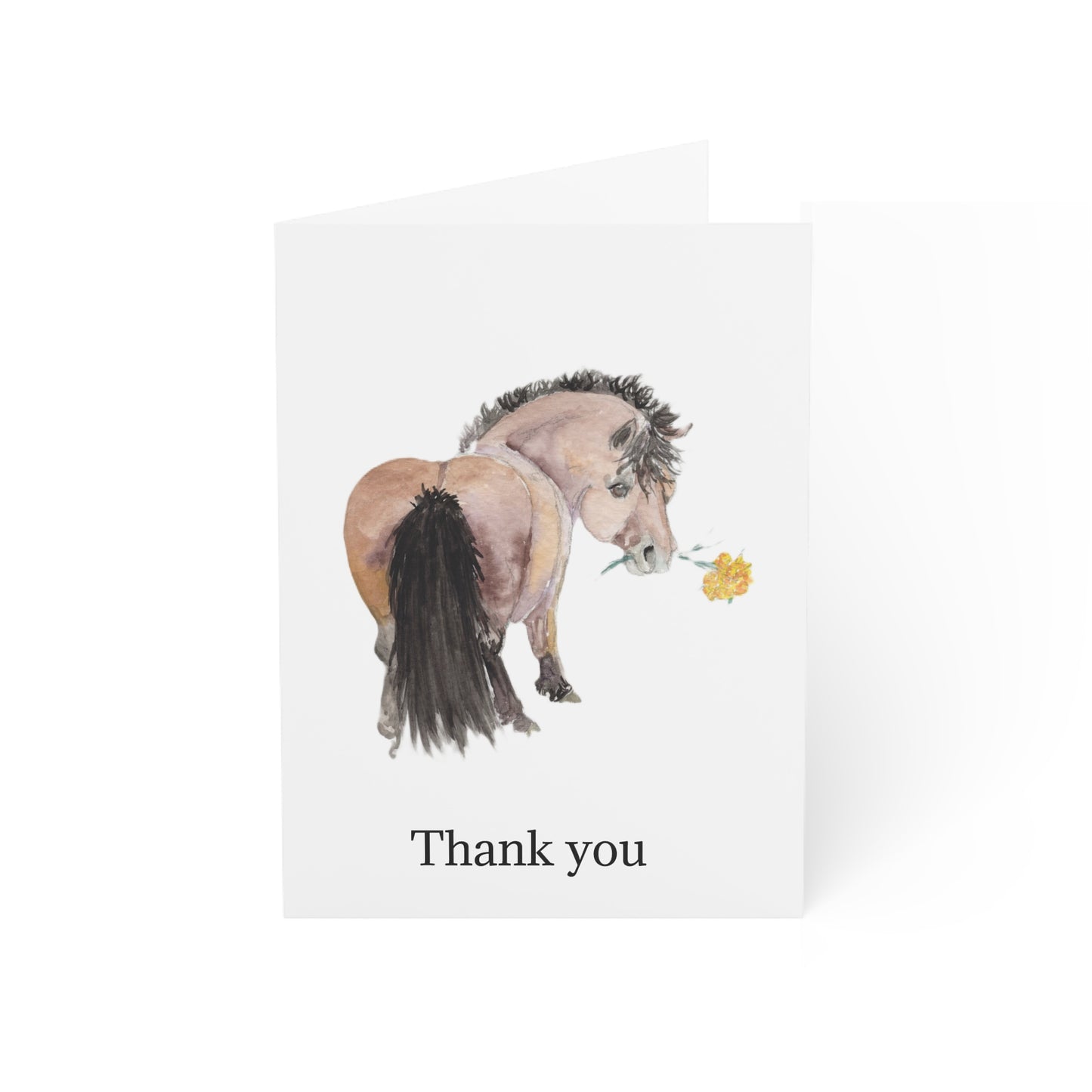 Adorable Ponies Single Greeting Card